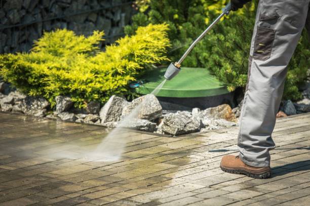 Best Warehouse Cleaning  in Riverside, IL