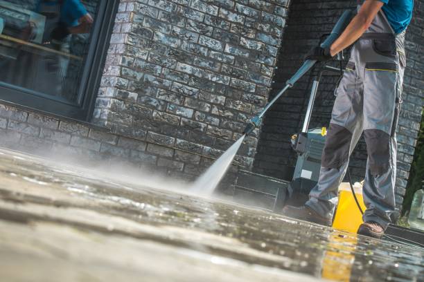 Best Animal Enclosure Cleaning  in Riverside, IL
